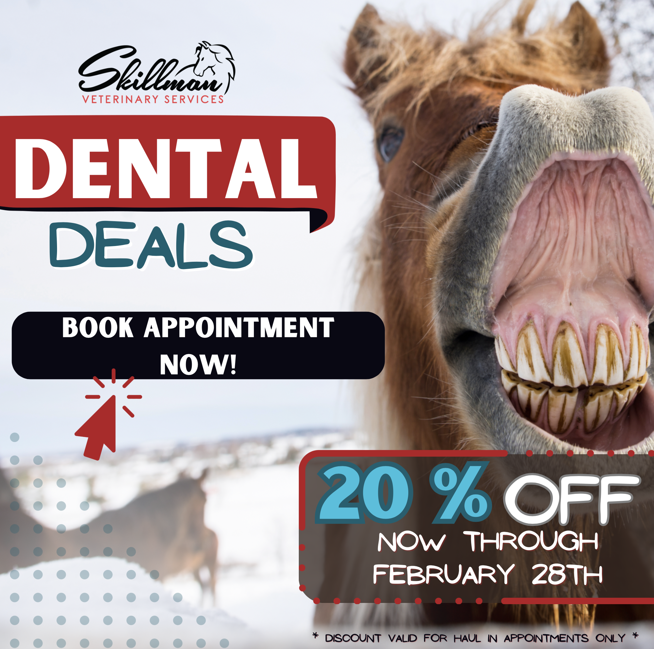 February Dental Deals • Save 20% Off Haul-In Dental Exams